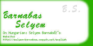 barnabas selyem business card